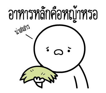 หัวกลมดุ๊กดิ๊ก V.20 รูปที่ 16
