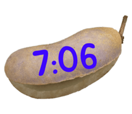 551081872