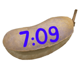 551081873
