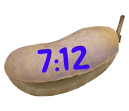 551081874