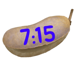 551081875