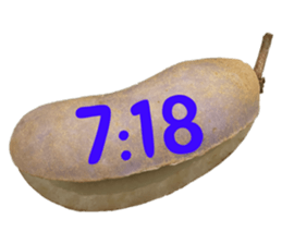 551081876