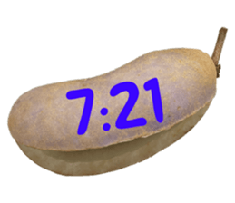 551081877