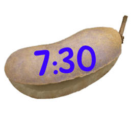 551081880