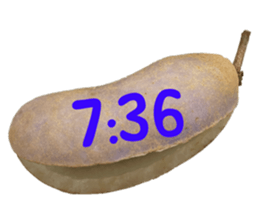 551081882
