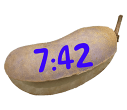 551081884