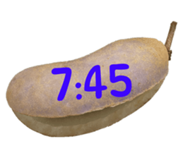 551081885