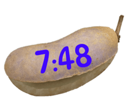 551081886
