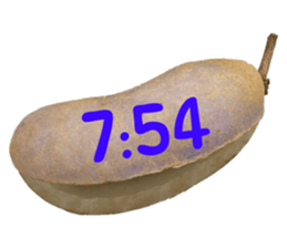 551081888