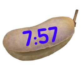 551081889