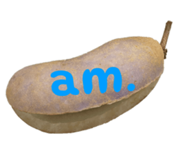 551081890
