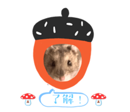 551101164