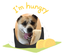 551111945