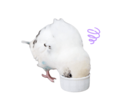 551118915