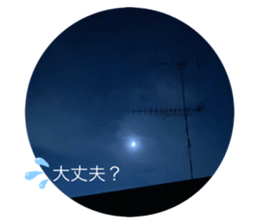 551141250