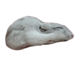 551146533