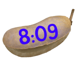 551154361
