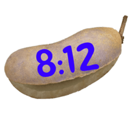 551154362