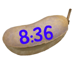 551154370