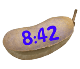 551154372