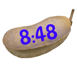 551154374