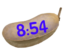 551154376