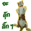 551248185