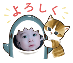 551329400