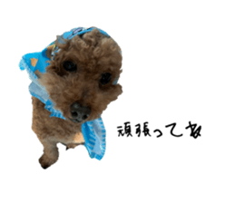551343313