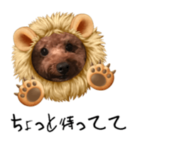 551343317