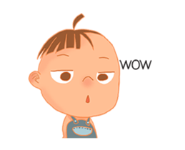 55135453