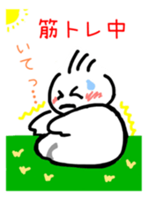 5513594