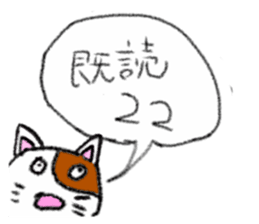 55135982
