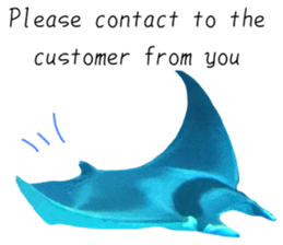 551383035