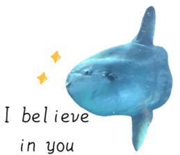551383045