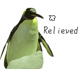 551383046