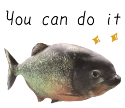 551383054
