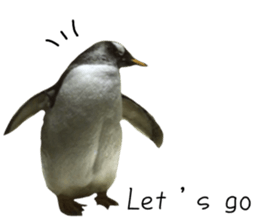 551383055