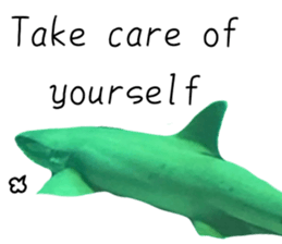 551383068