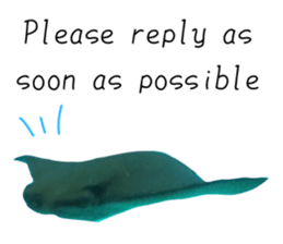551383080