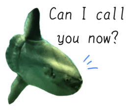 551383081
