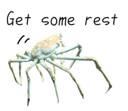 551383109