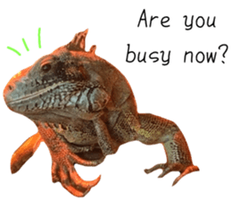 551387562