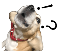 551388687