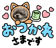 551395528