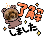 551395529