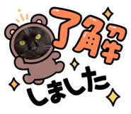 551436723
