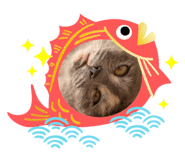 551436735