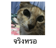 551495478