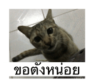 551495479